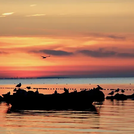 דירה Haus Sonne 5 טיסואו